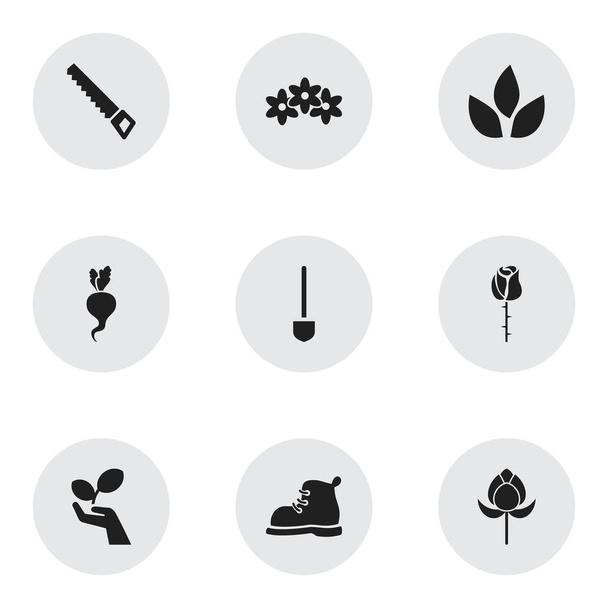 Набір з 9 для редагування сільського господарства іконок. Включає в себе символи, такі як завод захисту, Handsaw, Tulip. Може використовуватися для веб, мобільні, призначеного для користувача інтерфейсу і інфографіки дизайн. - Вектор, зображення