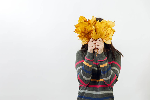 Beautiful European brown-haired woman with healthy clean skin, dressed in casual dark grey longsleeve with colorful stripes, hiding behind yellow maple leaves on a white background. - Photo, Image