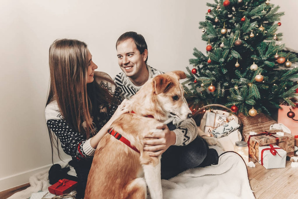 щаслива пара в стильних светрах розважається, граючи з милою собакою у святковій кімнаті з ялинкою
 - Фото, зображення