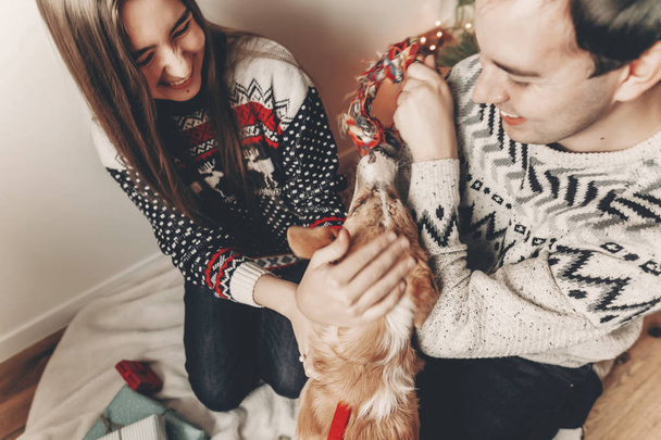 κομψό hipster ζευγάρι στο πουλόβερ αγκάλιασμα και παίζει με το σκύλο - Φωτογραφία, εικόνα