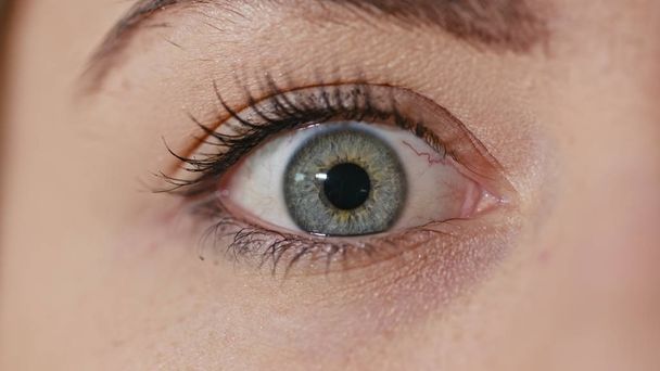 Человеческий глаз с сужением зрачка
 - Фото, изображение