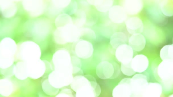motion of bokeh blurred green nature background with natural light with copy space. - Footage, Video