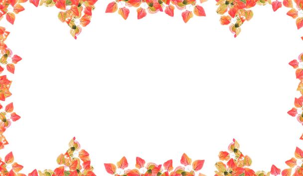 Isolated autumn leaves frame for nature background and design. - Photo, Image