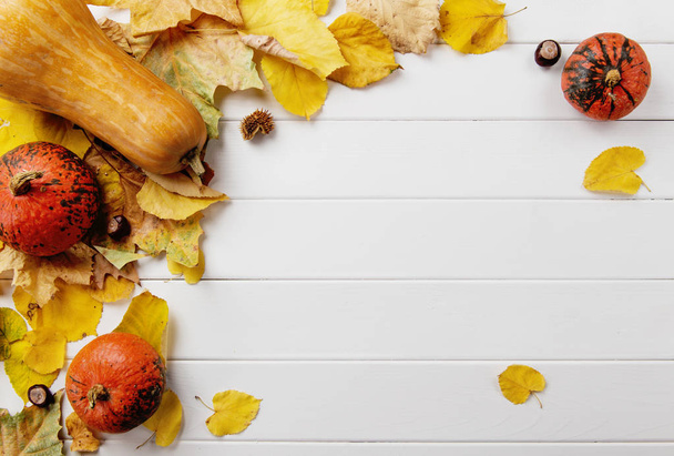 Herbst Hintergrund mit Kürbissen und Blättern - Foto, Bild