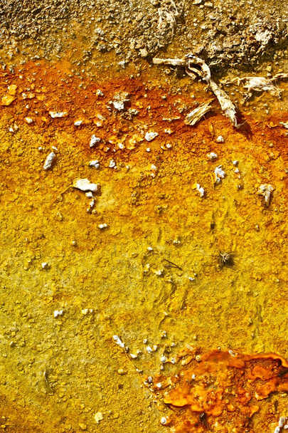 Oranssi myrkyllinen maaperä
 - Valokuva, kuva