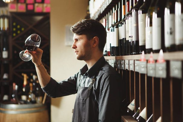 Bartender looks at red wine in glass in cellar - 写真・画像