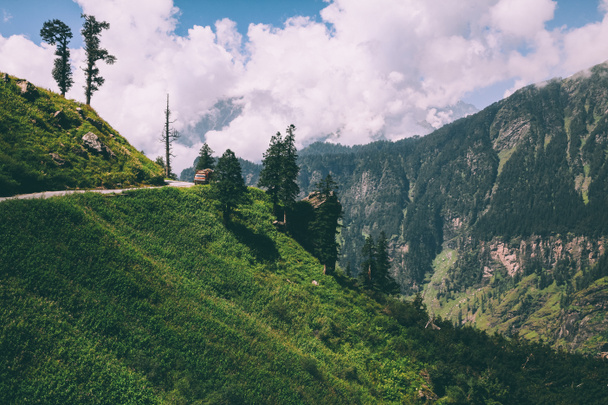 krásné stromy a silnici s autem v malebných horách, indický Himálaj, Rohtang Pass   - Fotografie, Obrázek