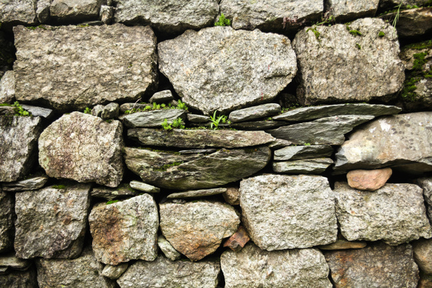 kiadványról kőfal és növekszik a kövek Baksu indiai Himalája, Dharamsala, zöld növények  - Fotó, kép