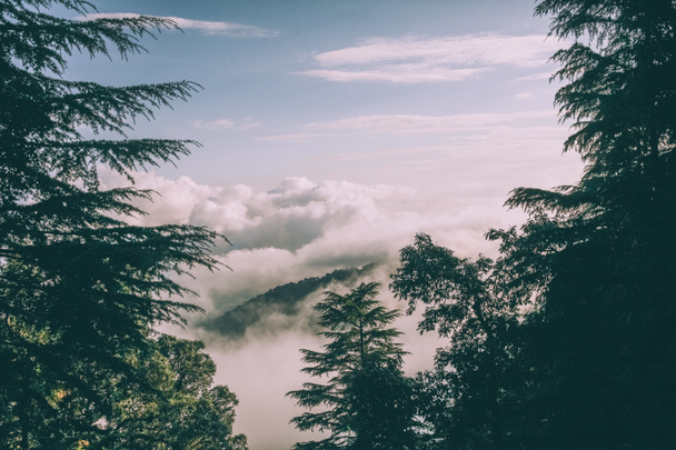 immergrüne Bäume und wunderschöne Berge mit Wolken im indischen Himalaya  - Foto, Bild