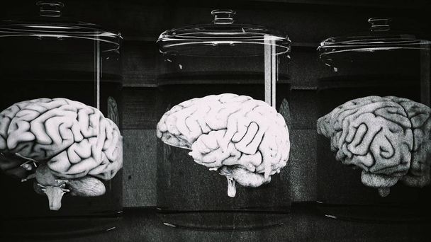 Οι ανθρώπινοι εγκέφαλοι σε ποτήρια εργαστήριο επιστήμης - Φωτογραφία, εικόνα