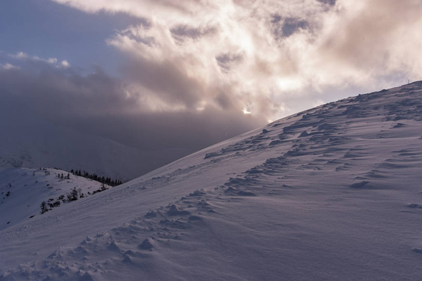 Winter mountain scenery during a blizzard. Western Tatra Mountai - Photo, Image