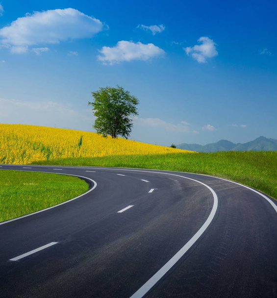Empty curved road on green grass with tree - Photo, Image