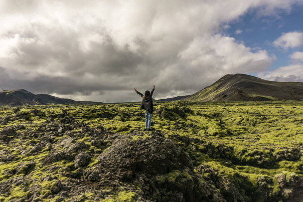 persoon permanent op rots met opgeheven handen en kijken naar schilderachtige IJslandse landschap - Foto, afbeelding