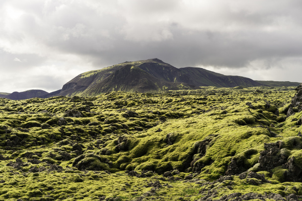 fenséges tájat hegyek és a moha, Izland  - Fotó, kép
