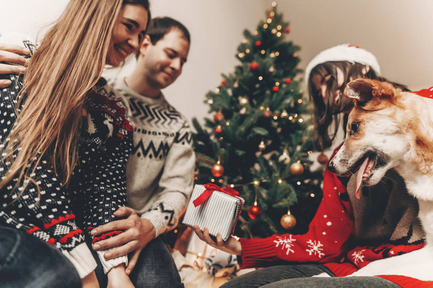 amici felici e cane carino che gioca seduto sul pavimento vicino all'albero di Natale decorato
 - Foto, immagini
