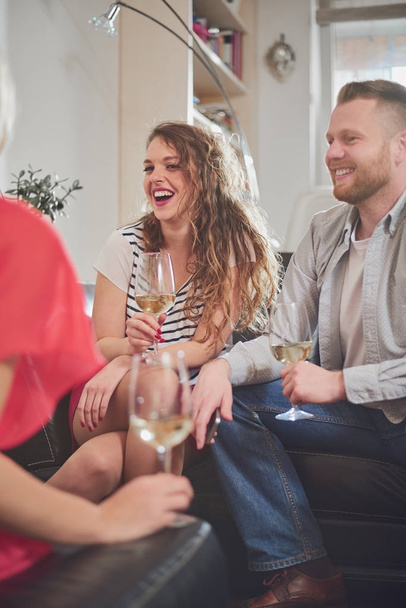 young people friends drink wine at home  - Foto, Bild