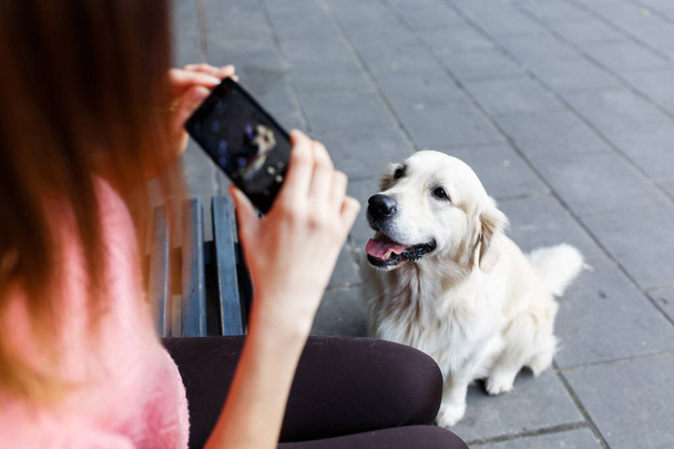 Image of woman on bench photographing dog - Photo, Image