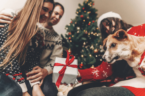 ευτυχής φίλους σε κομψά πουλόβερ και χαριτωμένο αστείο σκύλο, ανταλλάσσοντας δώρα, κάθεται στο χριστουγεννιάτικο δέντρο με φώτα - Φωτογραφία, εικόνα