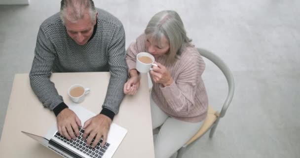 senior couple using a laptop  - Felvétel, videó