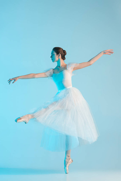 Young and incredibly beautiful ballerina is dancing in a blue studio - Valokuva, kuva