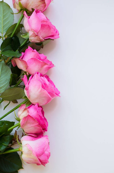 красивая розовая роза - Фото, изображение