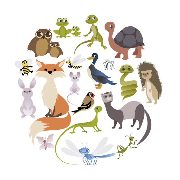 Круг милых животных. Млекопитающие, амфибии, рептилии, насекомые и птицы
 - Вектор,изображение