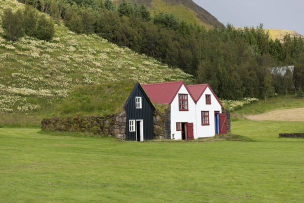 Traditional Icelandic House with grass roof in Skogar Folk Museu - Fotó, kép