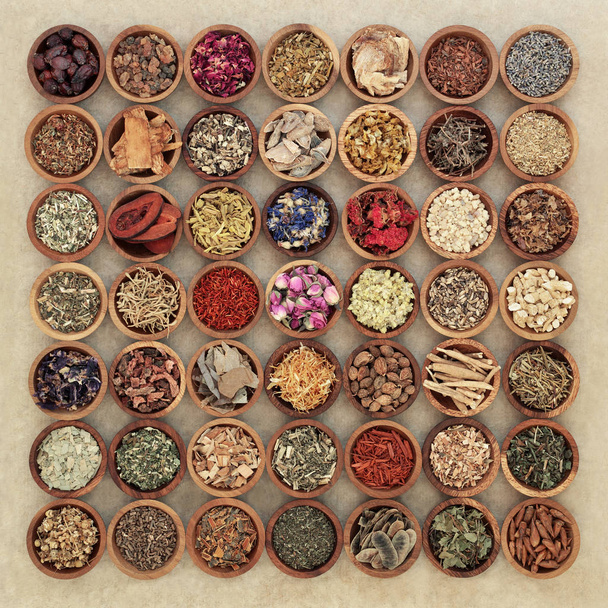 Herbs for Herbal Medicine - Photo, Image