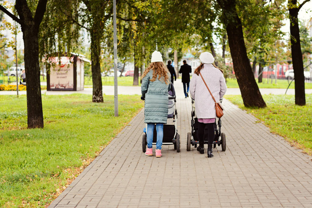 Duas jovens namoradas mães estão andando com crianças pequenas em carrinhos de bebê para um parque de outono. Mulheres em um passeio com as crianças, a vista das costas
. - Foto, Imagem