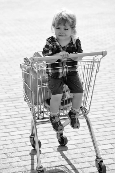 Cute boy in shopping trolley - 写真・画像