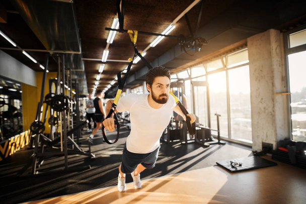 handsome muscular bearded man training in gym - Fotografie, Obrázek