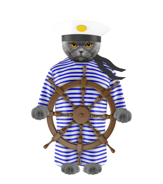 Cat dressed as a sailor. Isolated on white - 写真・画像