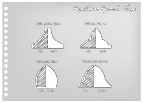 Бумажное искусство четырех типов пирамид населения
 - Вектор,изображение