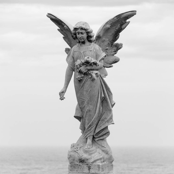 Statue of an angel at Waverley cemetary in Sydney, shot in black and white - Photo, Image