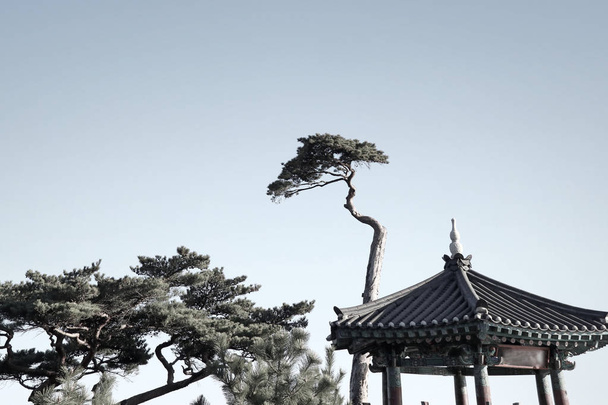 naksansa chrám v Jižní Koreji - Fotografie, Obrázek
