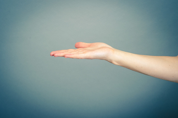 weibliche Hand isoliert - Foto, Bild
