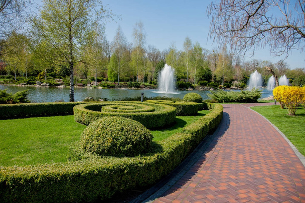 Autumn park with pond, green plants and fountain under clean blue sky - Zdjęcie, obraz