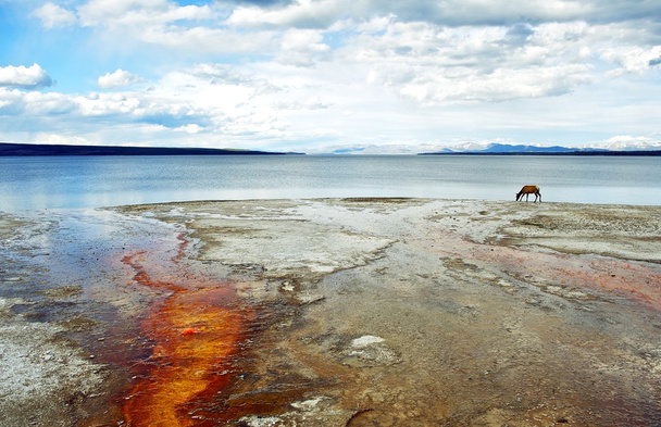 Raaka Yellowstone Horizon
 - Valokuva, kuva