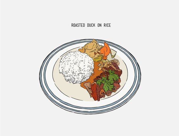 roasted duck with rice, Thai food, Chinese food. hand draw sketc - Vektor, Bild