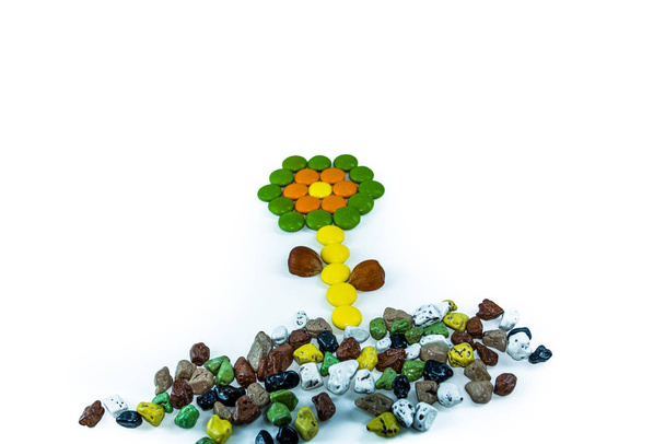 барвисті цукерки з жувальною кулькою з квіткою у формі ізольованого білого фону
 - Фото, зображення