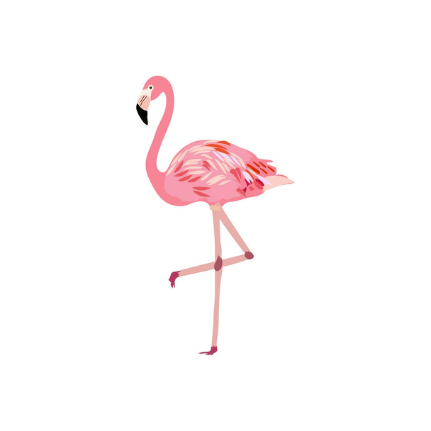 ilustração vetorial flamingo rosa - Vetor, Imagem