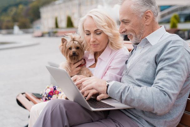 An elderly couple is resting sitting on a bench in the square. They have a dog and a laptop. - Foto, imagen