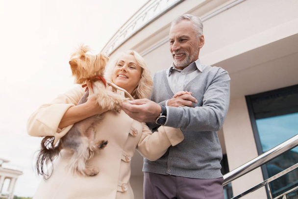An elderly couple is walking. A woman has a dog in her arms. The man is near - Fotó, kép