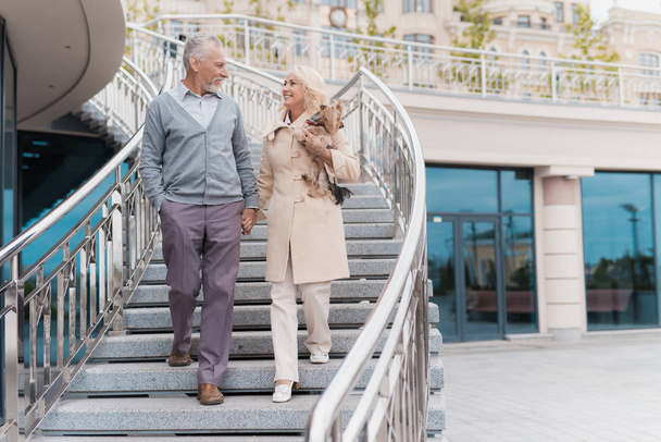 An elderly couple is walking. They go down the stairs. A woman has a dog on her hands - Фото, зображення
