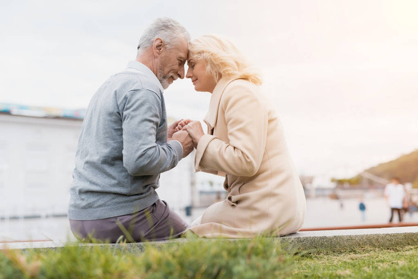 Een bejaarde echtpaar zit op de rand van het bed van een bloem. Ze houden de handen. - Foto, afbeelding