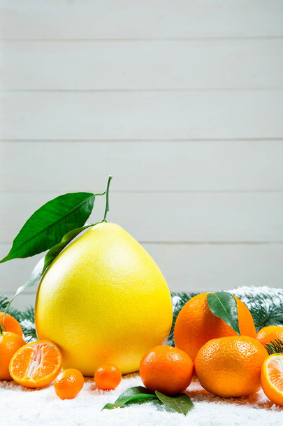 Φρέσκα μανταρίνια, πορτοκάλια, γκρέιπ-φρουτ, κουμ κουάτ, kinkan με φύλλα στο Λευκό χιόνι. Φόντο ώριμων εσπεριδοειδών. Σύμβολο της Πρωτοχρονιάς και Χριστουγέννων - Φωτογραφία, εικόνα