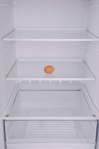 Açık boş buzdolabında bir yumurta. - Fotoğraf, Görsel