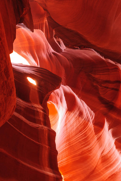 Червоні скелі Каньйон Антилопи - Фото, зображення