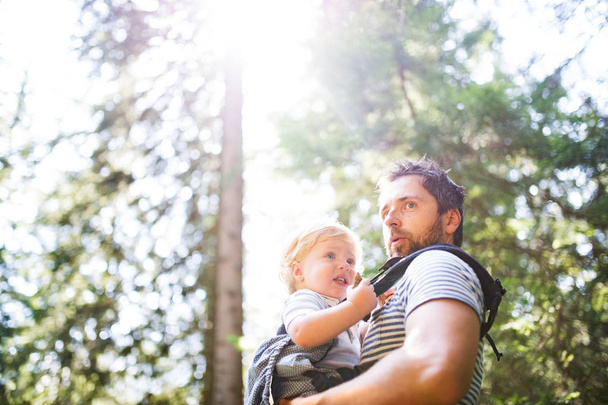 Young father with little boy in forest, summer day. - Fotoğraf, Görsel