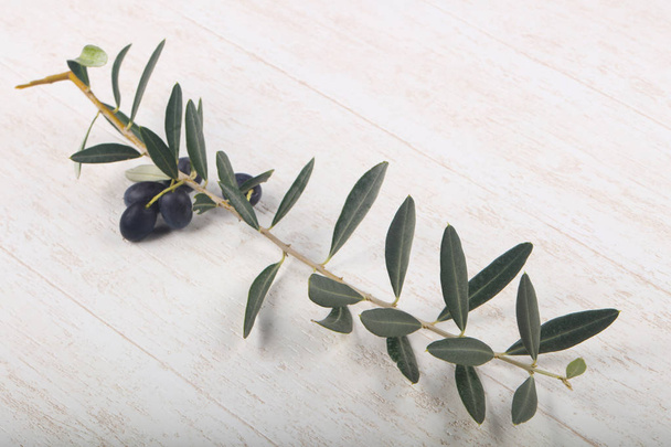 Olivovou ratolestí s plody dřevěné pozadí  - Fotografie, Obrázek